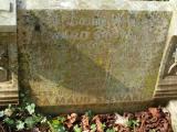 image number Steward Edward 177